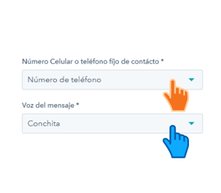 Llamada interactiva desde HubSpot